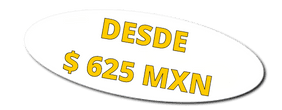 DESDE 625 MXN
